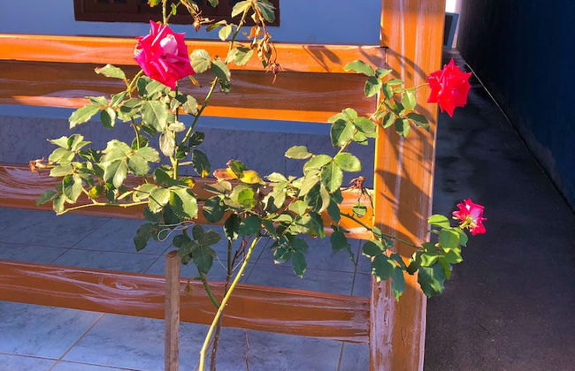 Casa Caribe - Foto 21