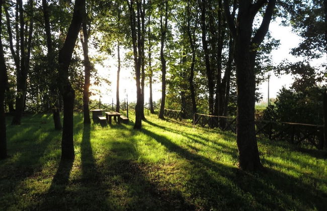 Le Case del Merlo - Foto 29