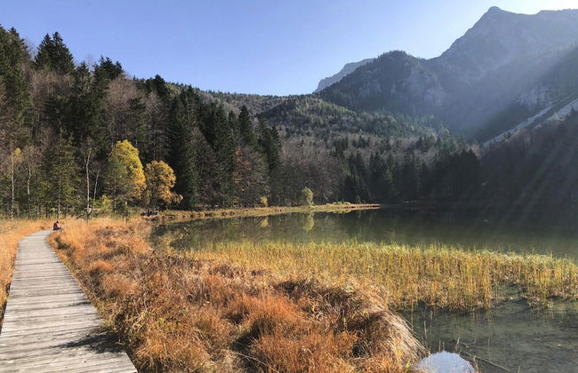 Bergchalet Falkenstein, Inzell - Photo 50