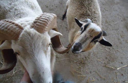 Sinnes Wandel Hof Serka - Foto 20