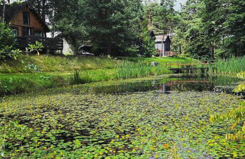 Dom i Domki nad Tanwią Roztocze - Foto 14