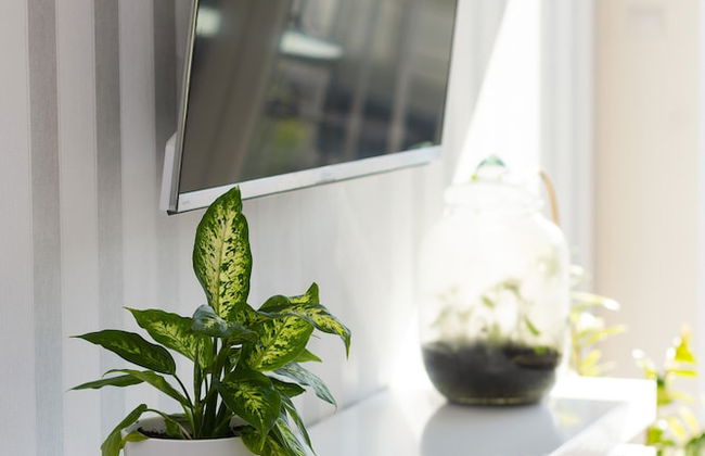 Bright Warsaw Apartment by Renters - Photo 5