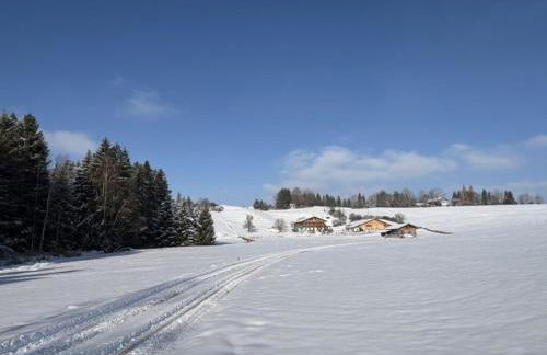 Langegger Alm - Sennerstube - Foto 16