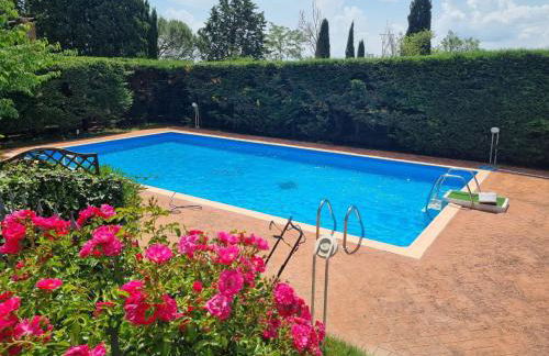 Gli Ulivi di Siena 2 - Foto 7