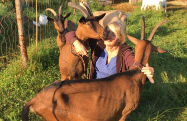 Baumhaus auf dem Kellerberg - Foto 22