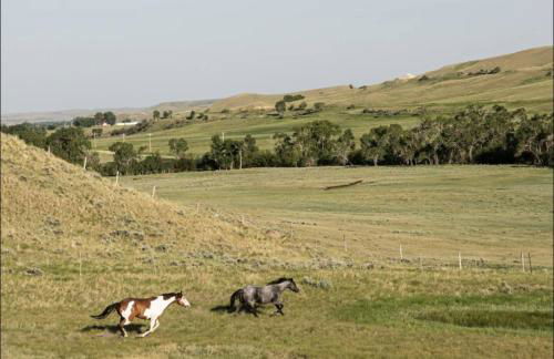 Saddlehorn Ranch - Foto 22