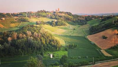Agriturismo I Surì Asti - Foto 2