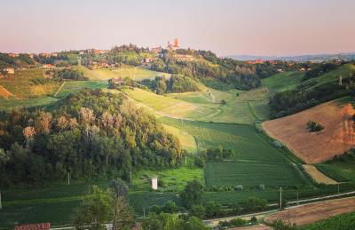 Agriturismo I Surì Asti - Foto 2