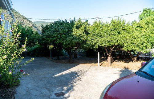 Davis Studios & Apartments - Ήλια Βόρειας Εύβοιας - 1' από τη θάλασσα - Foto 43