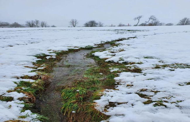 Holiday Home in La Roche With Sauna & Terrace - Foto 36
