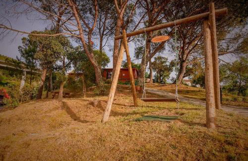 Arrabia Bunga Payva - Foto 20