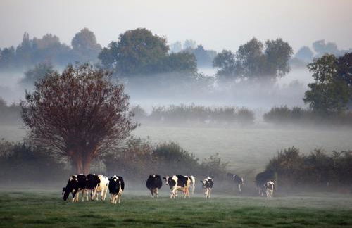 Hook Farm Cottages - Foto 5