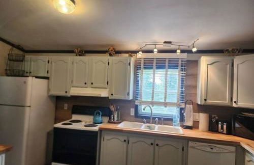 Animal Village - Foto 29