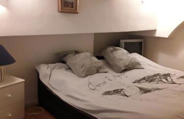 L'anthurium de l'Opéra - Foto 7