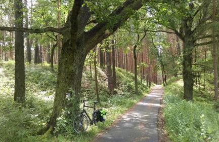 Bike Camping - Foto 15