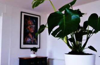 Le Loft Pasteur - Foto 5