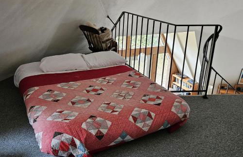 Northern Lights-Lake Michigan - Foto 24