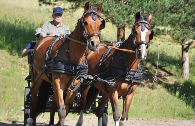 Fattoria Ca' di Fatino - Foto 21