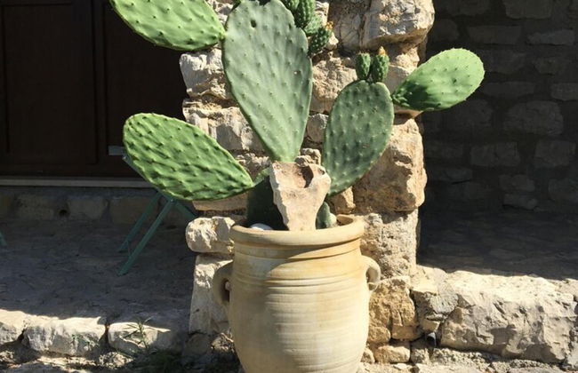 Villa Misita - Foto 48