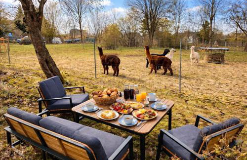 Ferienhaus im Grünen - Entspannen mit Alpakas - Foto 36