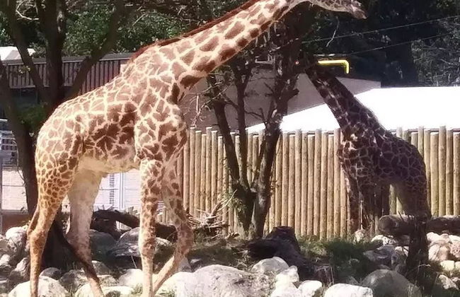 2 Blocks to ND 4 Bedroom 2 Bath Home 1217 - Foto 22