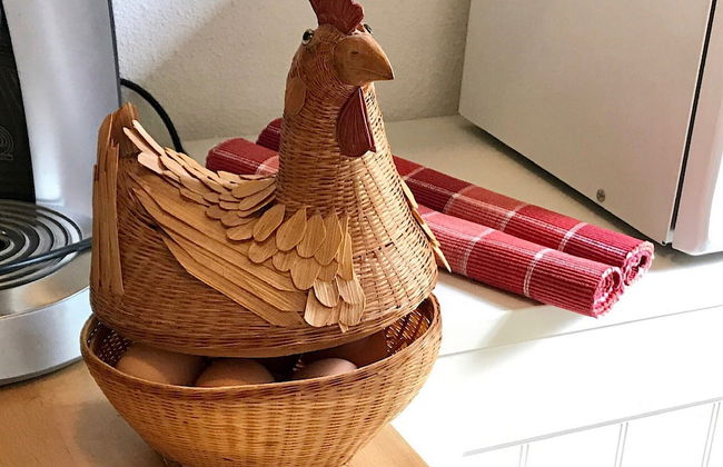 Homely Apartment in Noordwolde With Balcony - Foto 45