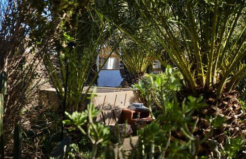 Villa Palmeras Canarias - Photo 21