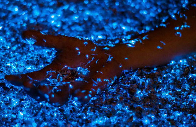 La Parguera Kayak Rental - Foto 2