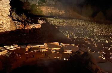 Valentine's Northern New Mexico Mountain Ranch on Colorado Border retreat - Foto 18