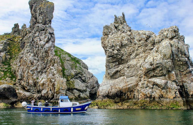 Boat Trip around Howth and Ireland's Eye - Photo 7