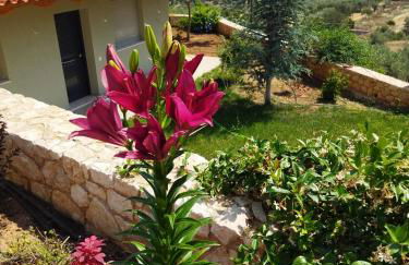 ''Shinohori'' Olive-Tree Apartment - Foto 24