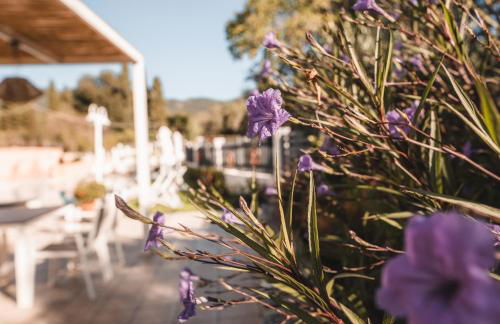 Dominoes Corfu - Foto 40