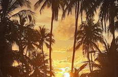 Villa Naluri C103 - Casa Auati - 2 quartos com Vista Mar em Japaratinga - Foto 5