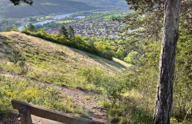 Ferienhaus Weinbergblick - nahe Würzburg - 2 Schlafzimmer - Familienfreundlich - Terrasse - Foto 56
