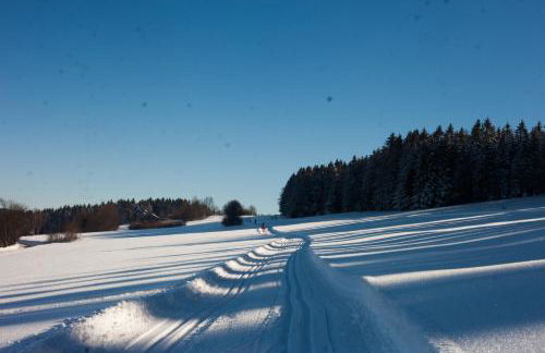 Sixt Martina - Foto 12