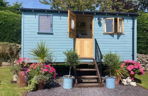 Shepherds Hut in the Hills - Nr. Mold - Foto 5