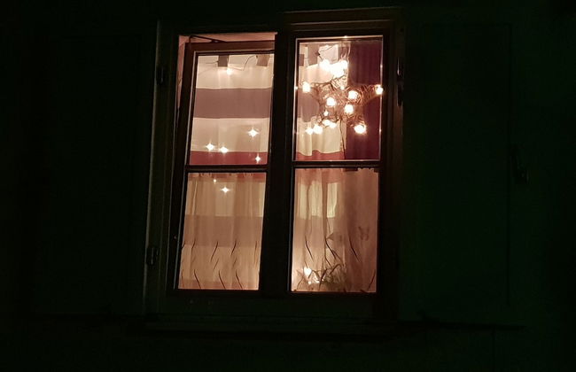 Lakeside Smoker Apartment FDH - Photo 9