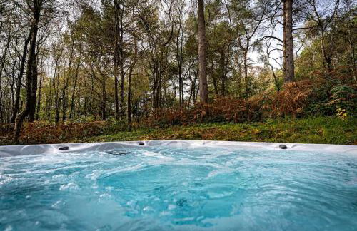 Stanton, woodland lodge with hot tub for 14 - Foto 36