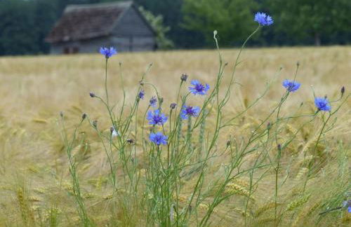 WERTS HOF Apartment 2 - Foto 19