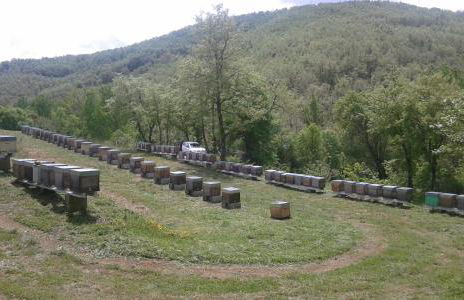 Apimonte Casa do Pascoal - PN Montesinho - Foto 73