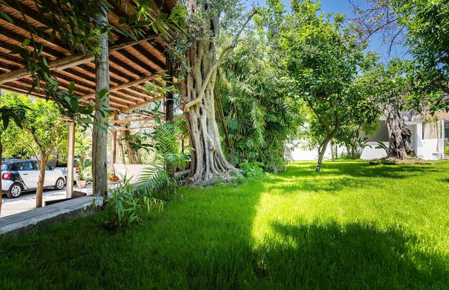 Villa Alice in Sorrento - Foto 4