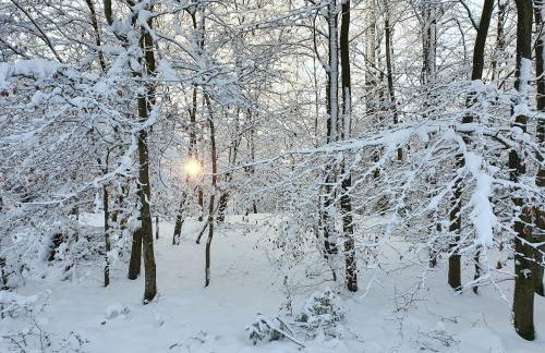 Haus Nordlicht - Foto 20