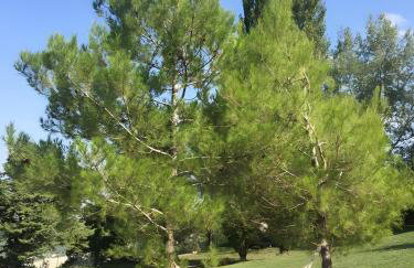 Villa Cuprese, 2p Apartment - Foto 25