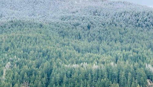 Appartamento nuovo tra Bormio e Livigno - Foto 4