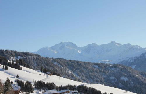 La Perle Des Alpes C2 - Foto 1