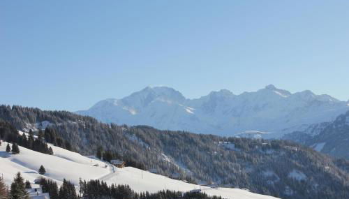 La Perle Des Alpes C2 - Foto 1
