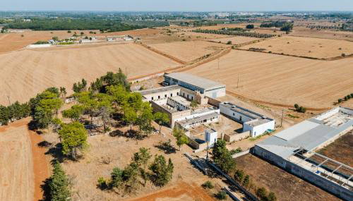 Masseria Delle Api - Foto 3