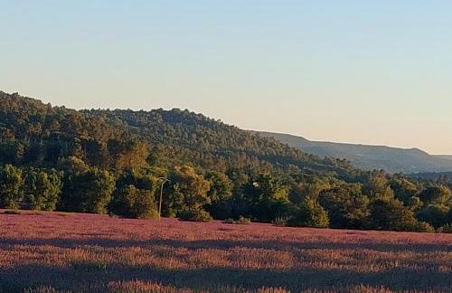 Appartement Roussillon - Foto 17