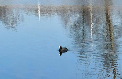 Apartament NATURA z widokiem na jezioro - Foto 13