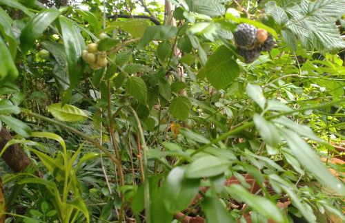 Tranquilidade e linda vista da lagoa - Foto 48